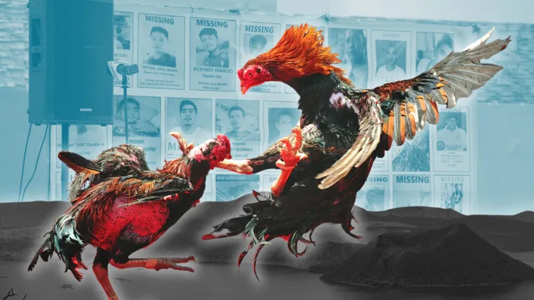 Bí Kíp Chinh Phục Cách Chơi Đá Gà Sabong Tại 99OK Cho Người Mới Bắt Đầu